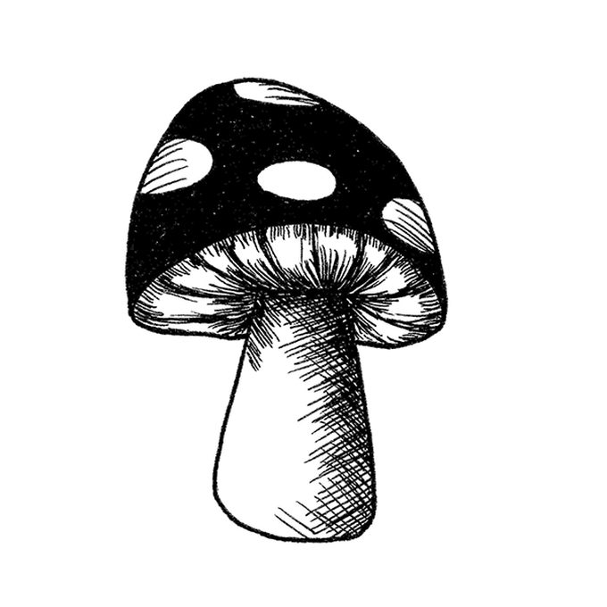 idea%5Fmushroom%2Dfineliner%2Dillustrations%2Dtoadstool%2Dfinished%5Fstep.png?sw=680&q=85