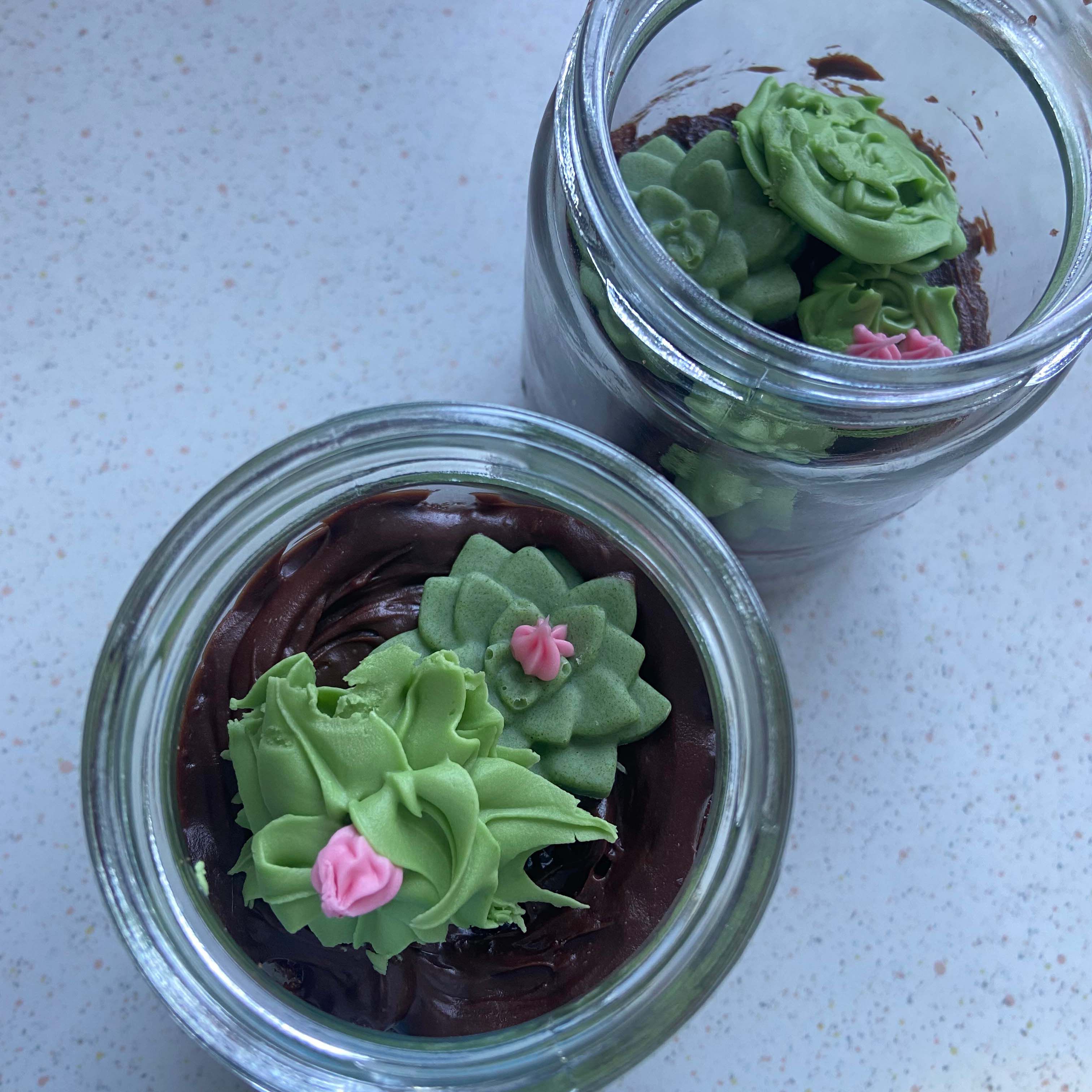 Mini Cake Succ Terrarium | wenderplant