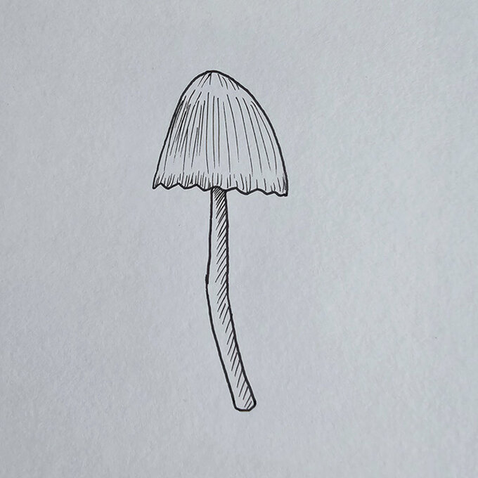 idea%5Fmushroom%2Dfineliner%2Dillustrations%2Dinclinata%5Fstep%2D1.jpg?sw=680&q=85