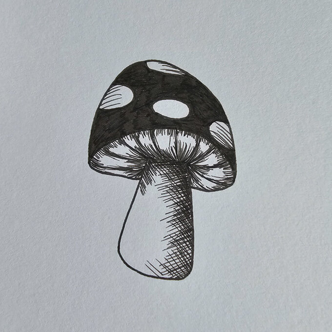 idea%5Fmushroom%2Dfineliner%2Dillustrations%2Dtoadstool%5Fstep%2D01.jpg?sw=680&q=85