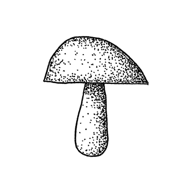 idea%5Fmushroom%2Dfineliner%2Dillustrations%2Dhypholoma%2Dfinished%5Fstep.png?sw=680&q=85