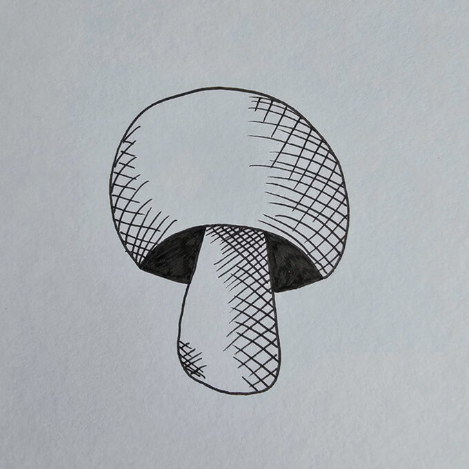 idea%5Fmushroom%2Dfineliner%2Dillustrations%5Fstep%2D1.jpg?sw=680&q=85