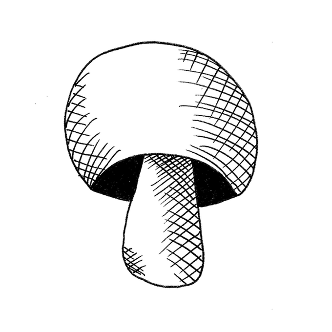 idea%5Fmushroom%2Dfineliner%2Dillustrations%2Dwhite%2Dfinished%5Fstep.png?sw=680&q=85