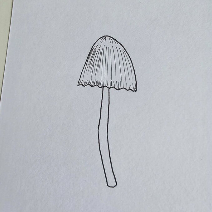 idea%5Fmushroom%2Dfineliner%2Dillustrations%2Dinclinata%5Fstep%2D2.jpg?sw=680&q=85