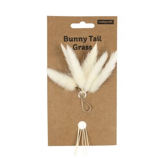 Natural Bunny’s Tail Grass 13cm image number 5