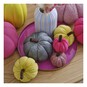 Bright Pink Plush Pumpkin 6.5cm image number 5