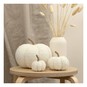 White Borg Pumpkin Collection 3 Pack Bundle image number 3