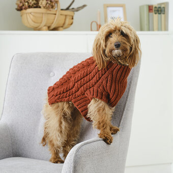 How to Knit an Autumn Dog Coat