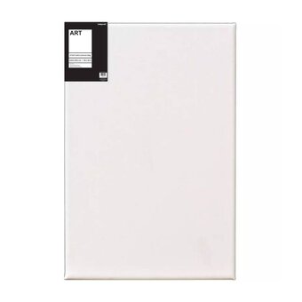5 Pack Blank Artists Paint Cotton Canvas Boards 50x40cm (12 x 16) - A3  Canvas for Painting Pre Stretched : : Home & Kitchen