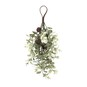 Hanging Eucalyptus Decoration with Pinecones 38cm image number 1