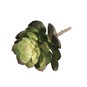 Succulent Pick 15cm image number 1