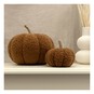 Brown Borg Pumpkin Collection 2 Pack Bundle image number 4