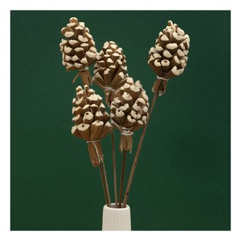 Pinecone Stems 5 Pack 