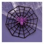 Spider’s Web with Purple Spider 30cm image number 1