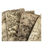 Birch Bark Bundle 10 Pack image number 3