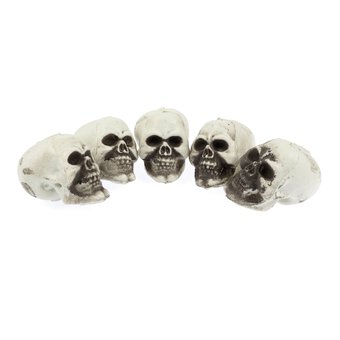 Skeleton Heads 5 Pack