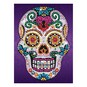 Kitfix Sugar Skull Sequin Art Craft Teen Kit image number 5