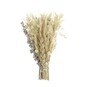 Natural Dried Buttonhole 14cm image number 3