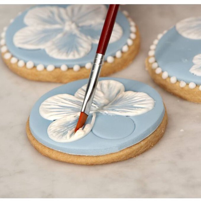 LKTINA Royal Icing Tools for Cookies - Cake Decorating Kit for Kids, 14  Pieces Cake Decorating Brushes for DIY Sugar Cookie Cake Fondant Decoration
