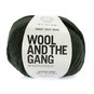 Wool and the Gang Heritage Green Crazy Sexy Wool 200g image number 1