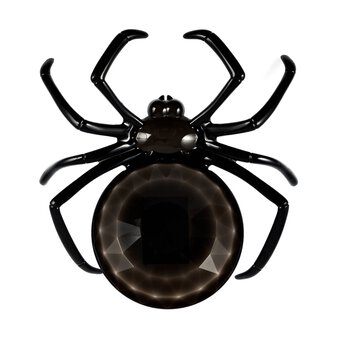 Black Spider Plate 24cm image number 5