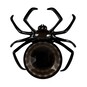 Black Spider Plate 24cm image number 5