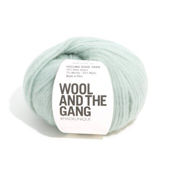 Wool and the Gang Eucalyptus Green Feeling Good 50g
