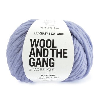 Wool and the Gang Dusty Blue Lil’ Crazy Sexy Wool 100g