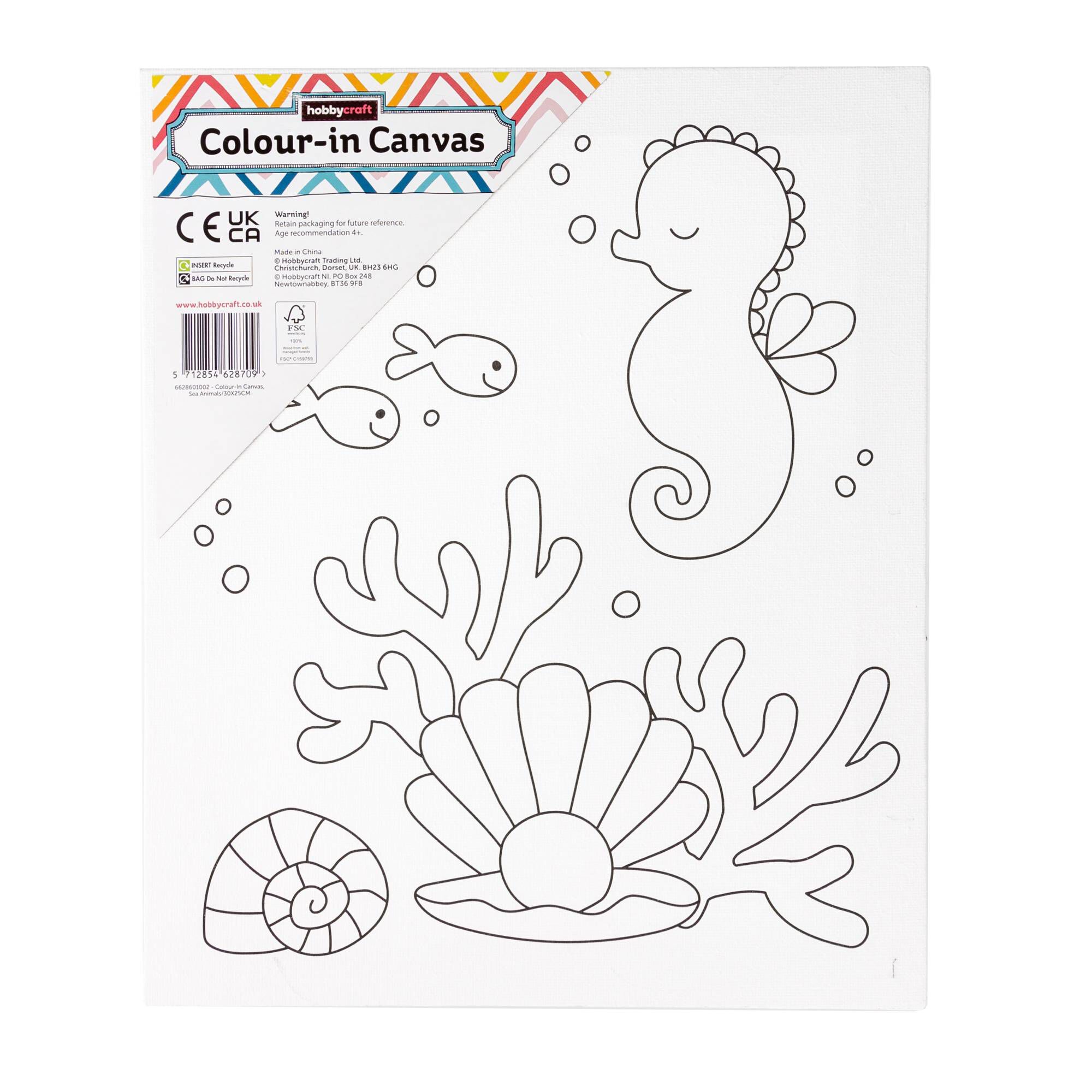 Sea Animals Colour-in Canvas | Hobbycraft