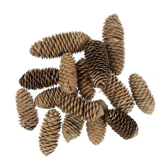 Pinecones 200g image number 5