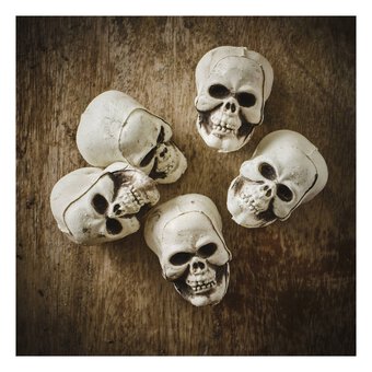 Skeleton Heads 5 Pack