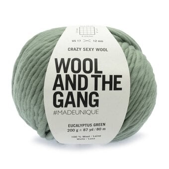 Wool and the Gang Eucalyptus Green Crazy Sexy Wool 200g