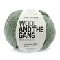 Wool and the Gang Eucalyptus Green Crazy Sexy Wool 200g image number 1
