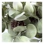 Hanging Eucalyptus Decoration with Pinecones 38cm image number 2