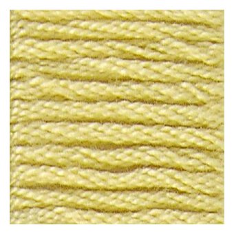 DMC Yellow Mouline Special 25 Cotton Thread 8m (017) image number 2