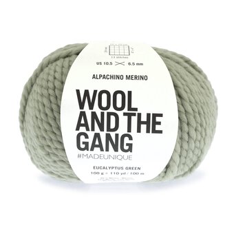 Wool and the Gang Eucalyptus Green Alpachino Merino 100g