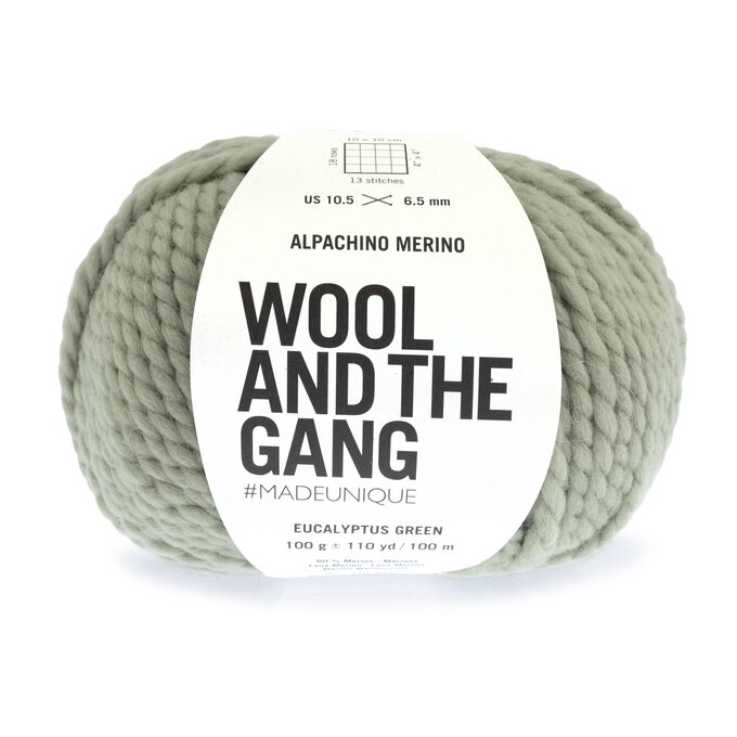 Wool and the Gang Eucalyptus Green Alpachino Merino 100g image number 1