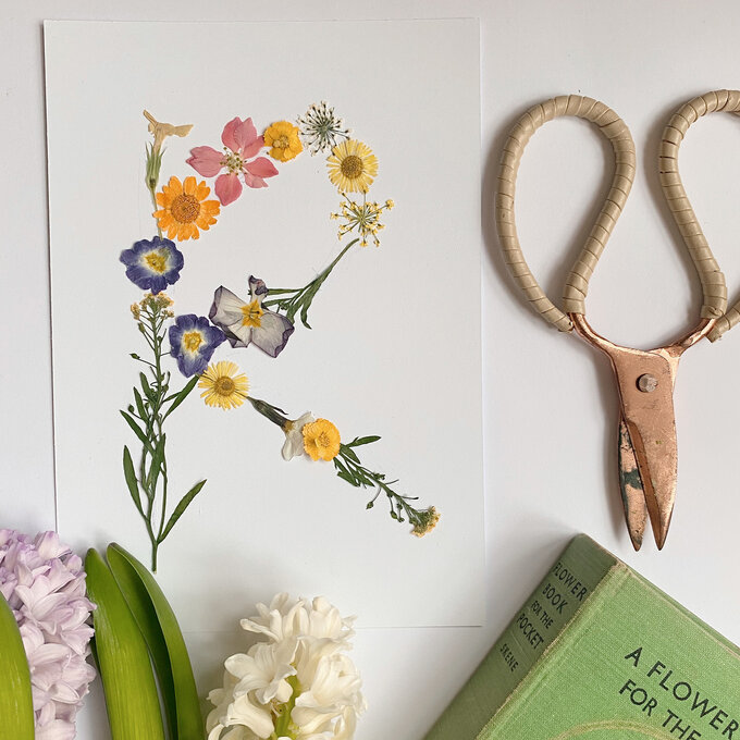 Pressed Flower Art - how to press flowers - Crafts by Amanda