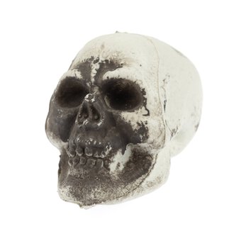 Skeleton Heads 5 Pack image number 3