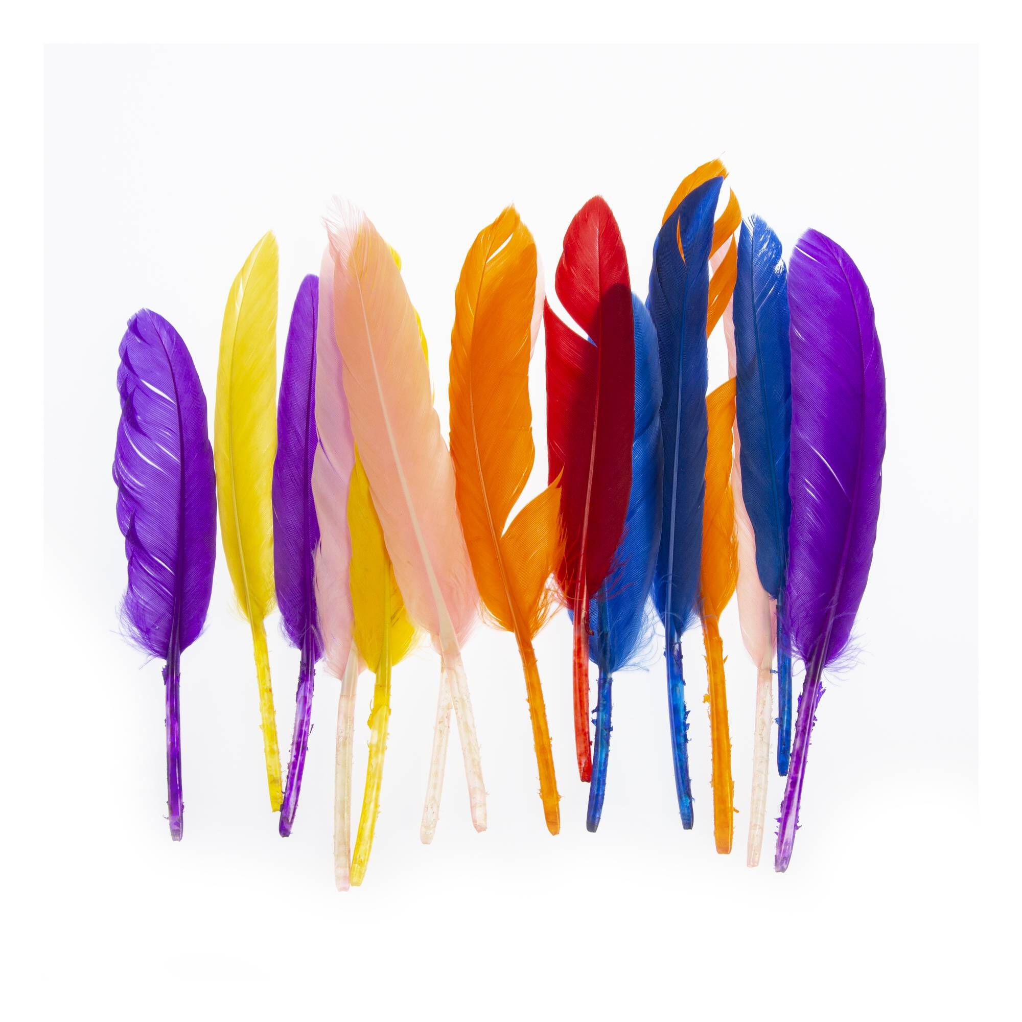 Assorted Quill Feathers 15 Pack Hobbycraft