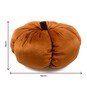 Flat Rust Plush Pumpkin 18cm image number 3