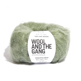 Wool and the Gang Eucalyptus Green Take Care Mohair 50g