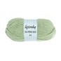 Wendy Aloe Supreme DK Yarn 100g image number 1