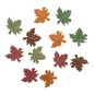 Wooden Leaf Scatter 12 Pack image number 2