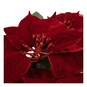 Red Poinsettia Wreath 51cm image number 3