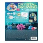 Crystal Growing Outer Space Crystal Terrarium image number 6