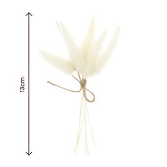 Natural Bunny’s Tail Grass 13cm image number 4