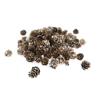 Small White Wash Pinecones 110g