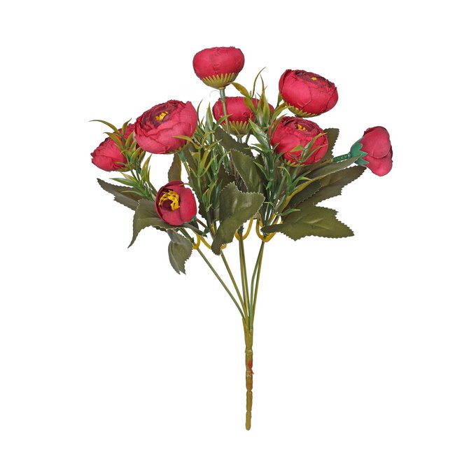 Burgundy Ranunculus Bush 31cm image number 1