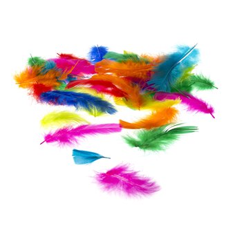 27+ Arts And Crafts Feathers